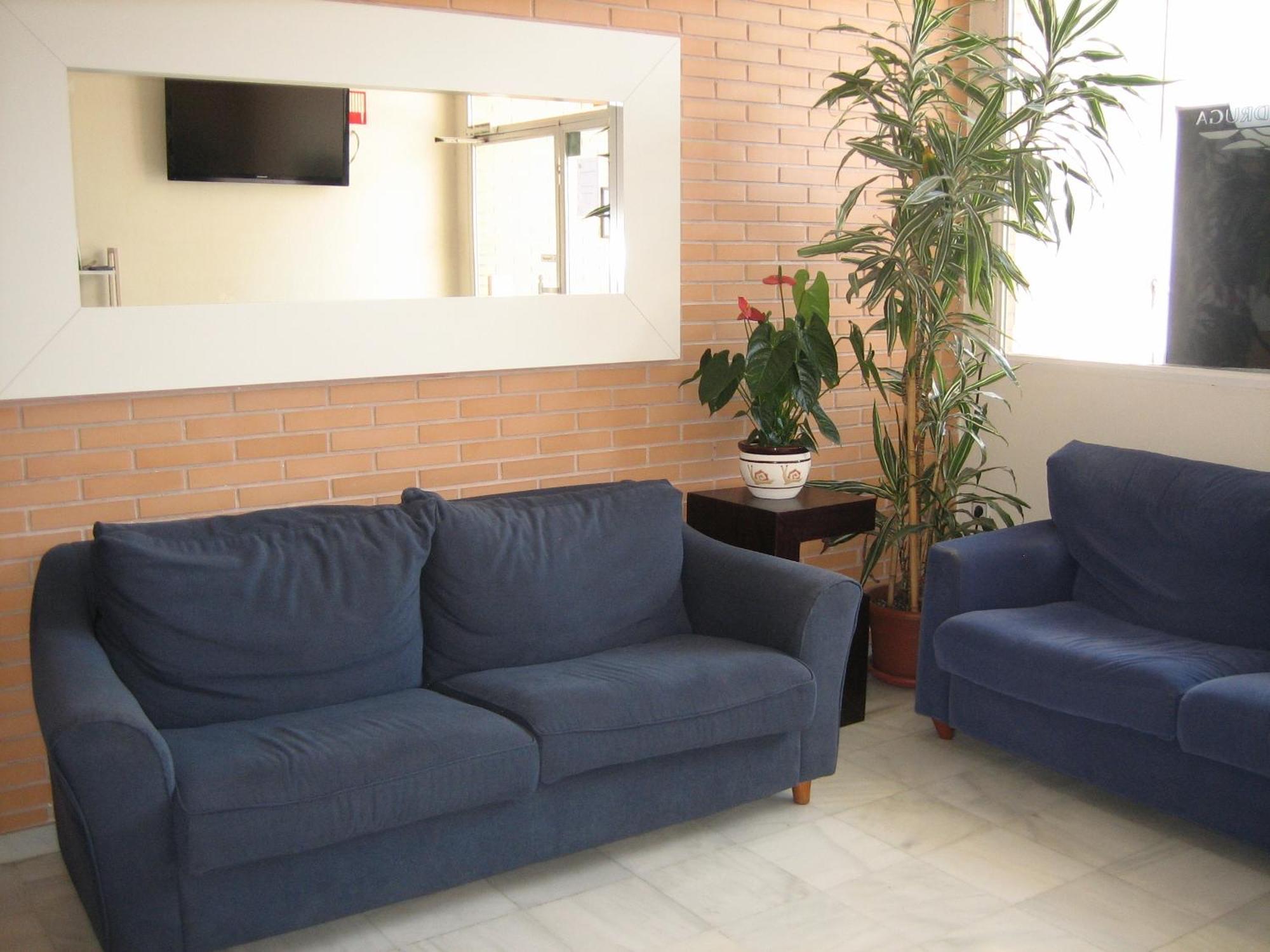 Hostal Madruga Elx Esterno foto